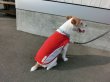 画像2: シャインクールパネルタンク　中型犬３Ｌ (2)