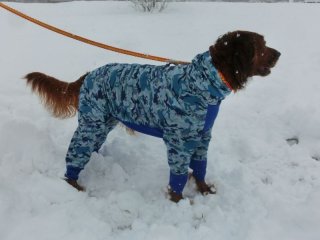 大型犬用 ウインタースーツ - cocchino コッキーノ